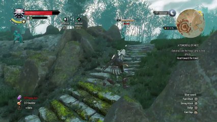 WITCHER 3 DEATH MARCH! WALKTHROUGH 41 - TOWERFUL OF MICE