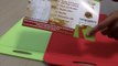 Best Silicone Chopping Board by Basics2you, Versatile, Festive and Low Maintenance