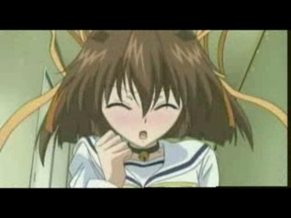 AMV Various anime Funny