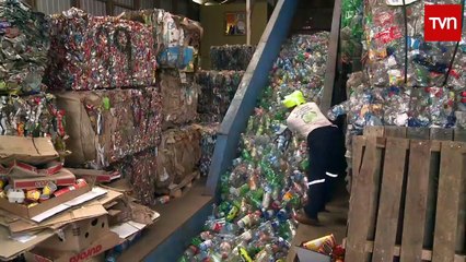 Frutos del  país 2016 - 03 Rapa Nui