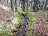A Natural mineral  spring water-Greece (East Zagori Mountains)-Eau de source.