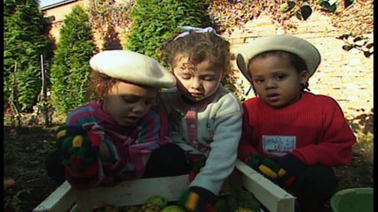 Teletubbies: Picking and Sorting - Full Episode