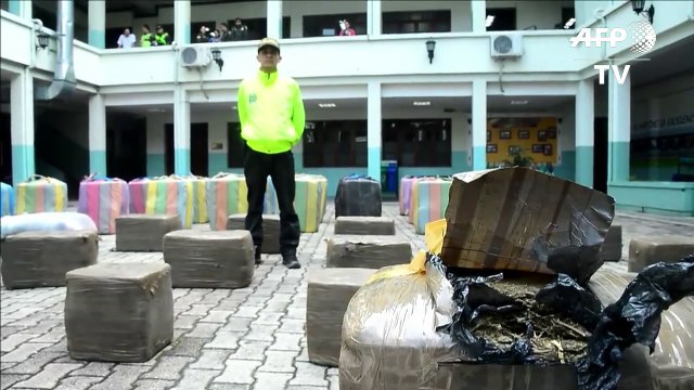 Incautan unas 1,8 toneladas de marihuana en Colombia
