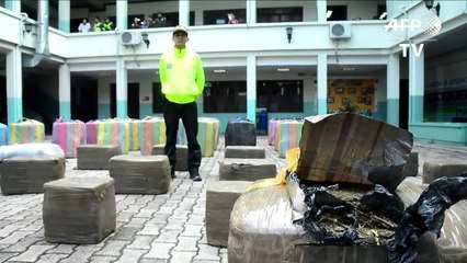 Incautan unas 1,8 toneladas de marihuana en Colombia