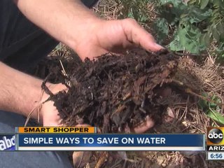 Simple ways to save on water