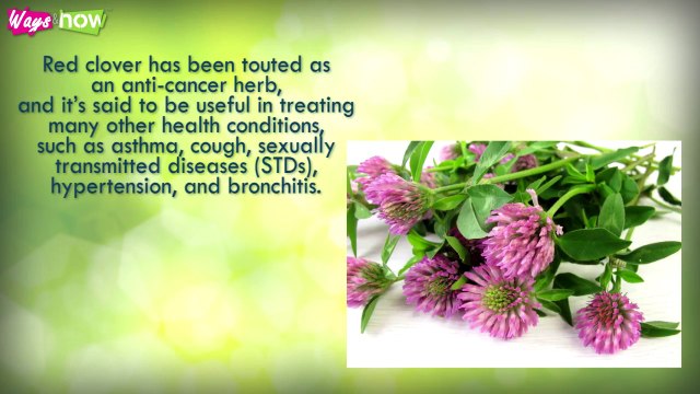 How to Enlarge Breasts with Natural Herbs - Helpful Tips