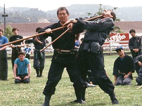Las Bases del Ninjutsu de Masaaki Hatsumi