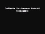 [Download PDF] The Bluebird Effect: Uncommon Bonds with Common Birds PDF Free