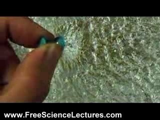 Puma, Bird and Exploding Balloon in Slow