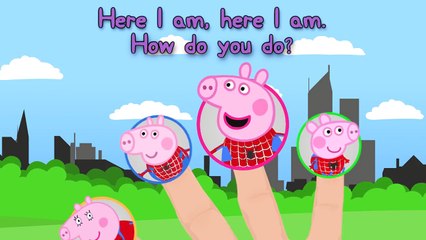 Peppa Pig Spider-Man Finger Family (Nursery Rhymes Lyrics)