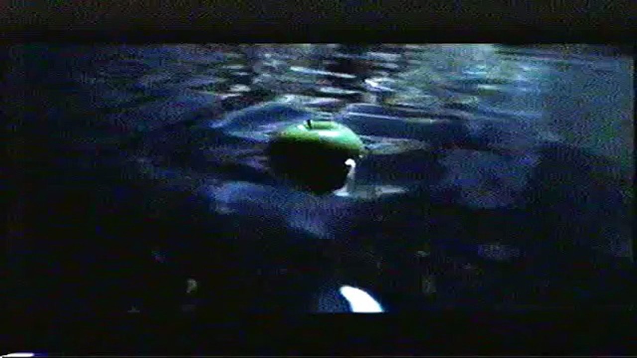 Closing to Pirates of the Caribbean: The Curse of the Black Pearl UK VHS (2003)