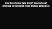 [PDF] How Does Foster Care Work?: International Evidence on Outcomes (Child Welfare Outcomes)