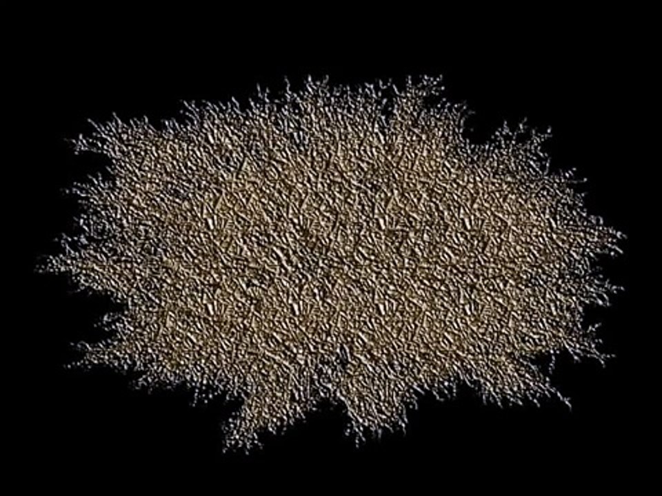 Anal Bag - Birth Invasion