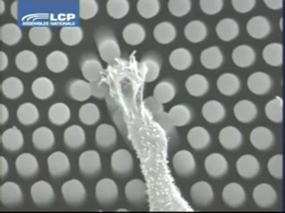 Tensions de surfaces