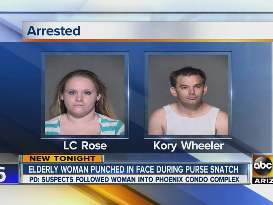Elderly woman punched in face during purse snatch
