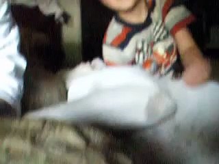 pitbull atacks woman in her sleep