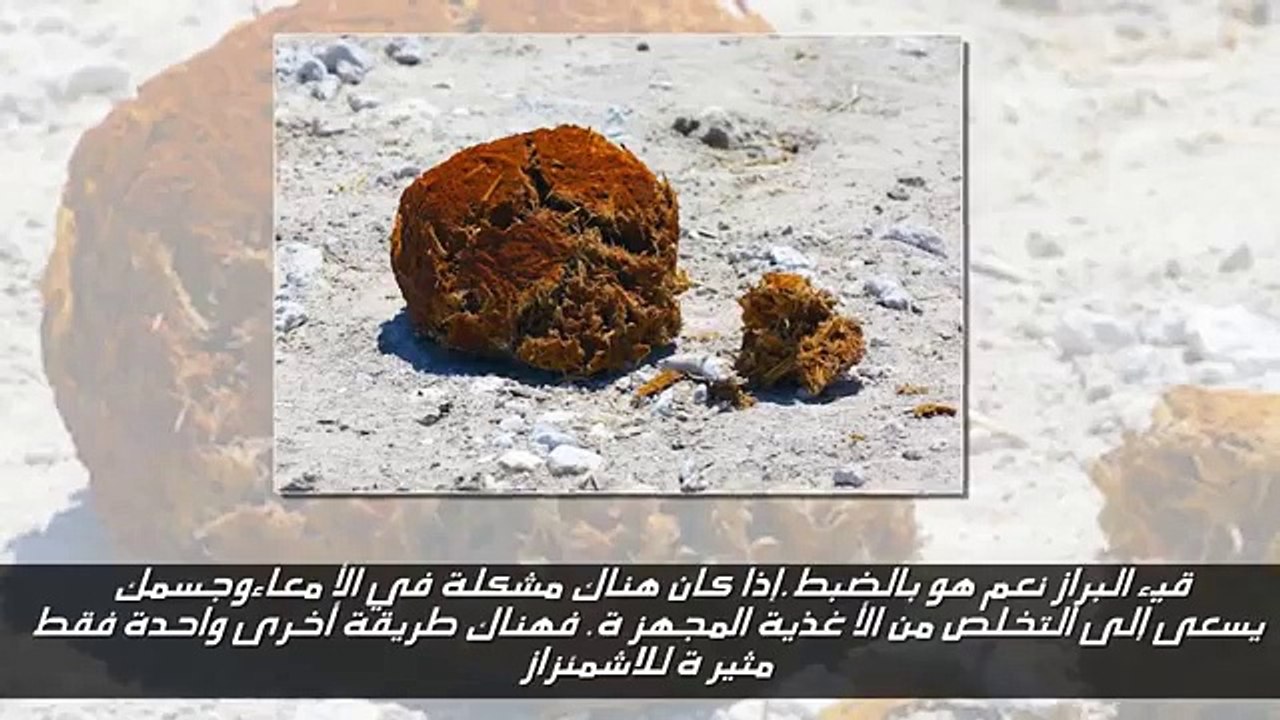بالفيديو شاهد أغرب الأمراض التي صدمت المشاهدين