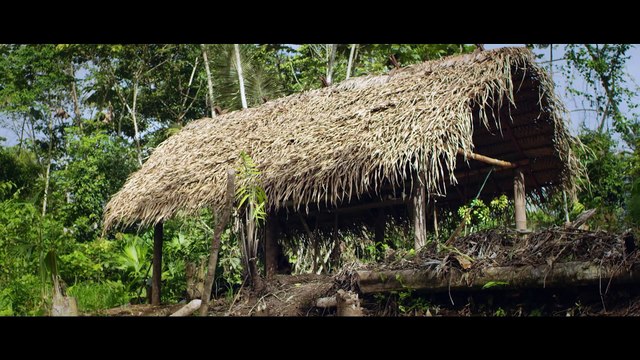 Hardwell & Dannic feat. Haris - Survivors (Official Video)