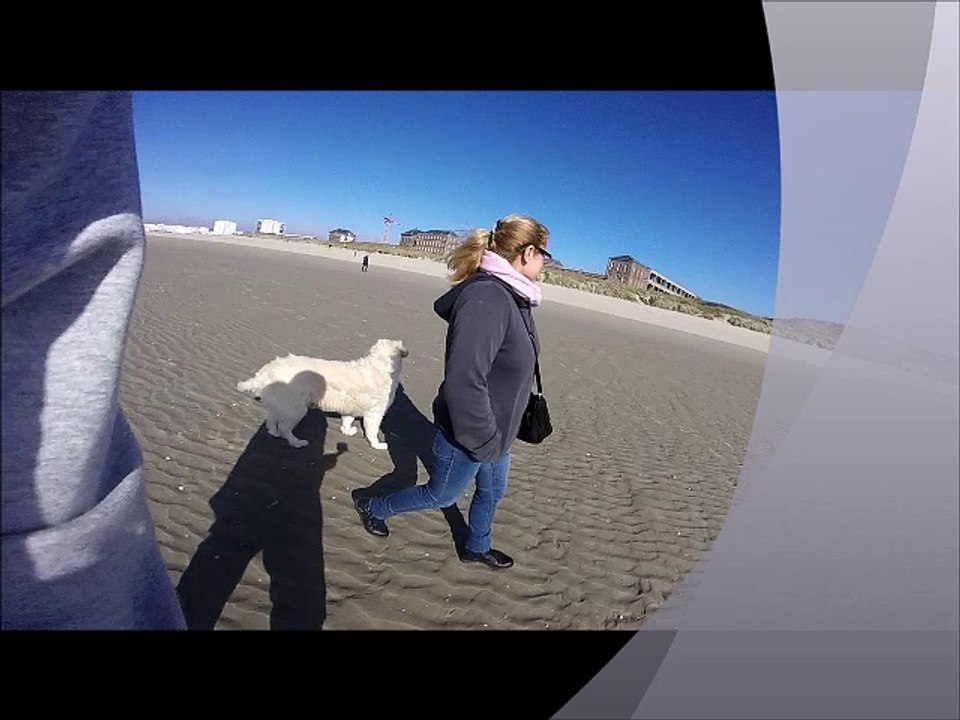 Berck 2