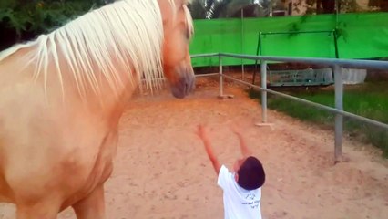 Ce petit garçon sapproche dangereusement de la jambe du cheval La suite va vous faire pleurer