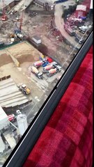 Une étrange créature dans la Tamise à Londres