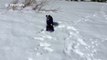 Snowboarding Jack Russell hits the slopes