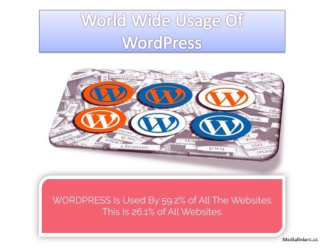 The Importance of WordPress for Business Sites and Blogs