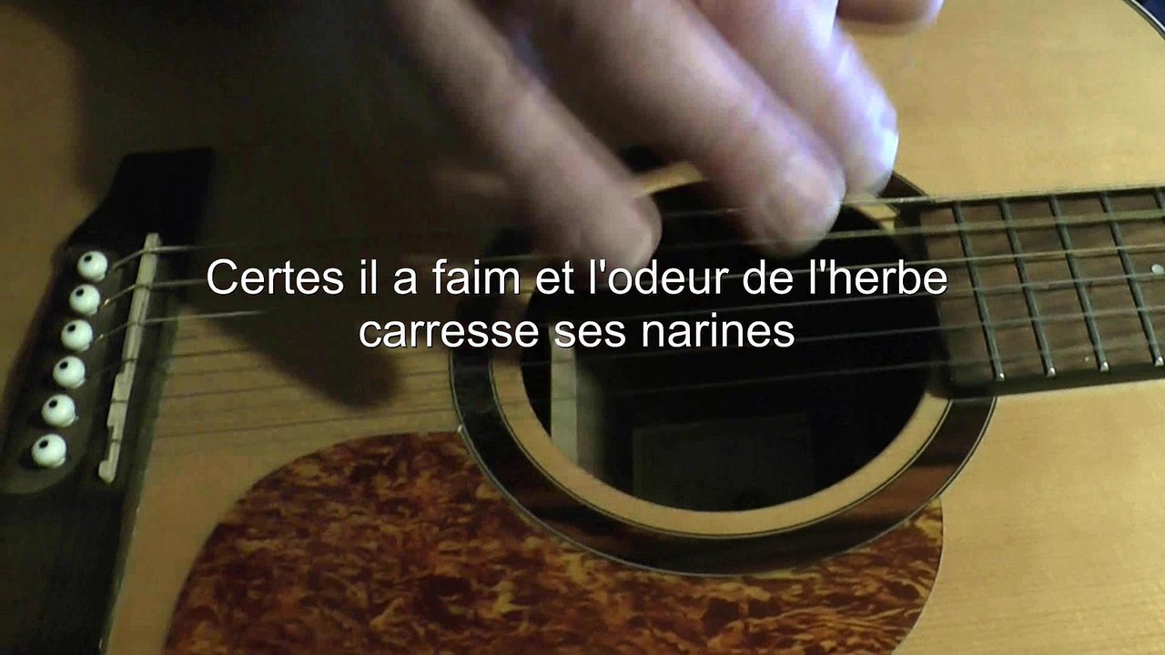 ane de buridan - conte vidéo musique