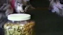 เพื่อน