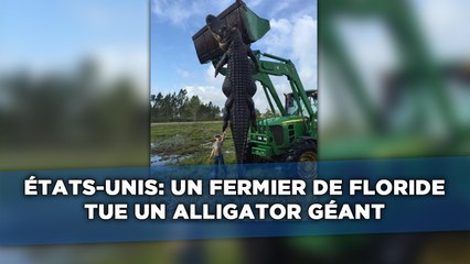 Un fermier de Floride tue un alligator géant