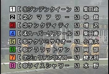 1991 芙蓉S（オープン）   ライスシャワー