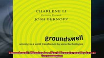 FREE PDF  Groundswell Winning in a World Transformed by Social Technologies  DOWNLOAD ONLINE