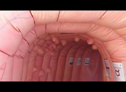 sensibilisation au dépistage du cancer colorectal, côlon Tour,Troyes