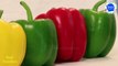 Benefits of Bell Peppers,Capsicum|शिमला मिर्च के फायदे|shimla mirch ke fayde|DigitalIndia| Real Nutrition