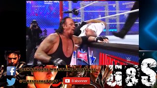 Wrestlemania 32 Hell in the Cell Match Shane Mac Mahon vs The Undertaker