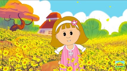 Itsy Bitsy Spider | Incy Wincy Spider | Kids Songs & Nursery Rhymes | 60 Minutes Compilati