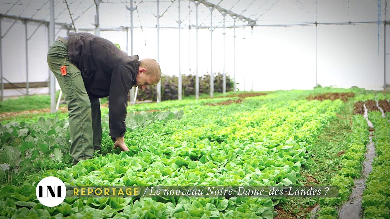 Le nouveau Notre-Dame-des-Landes ? - La Nouvelle Edition du 07/04 - CANAL+