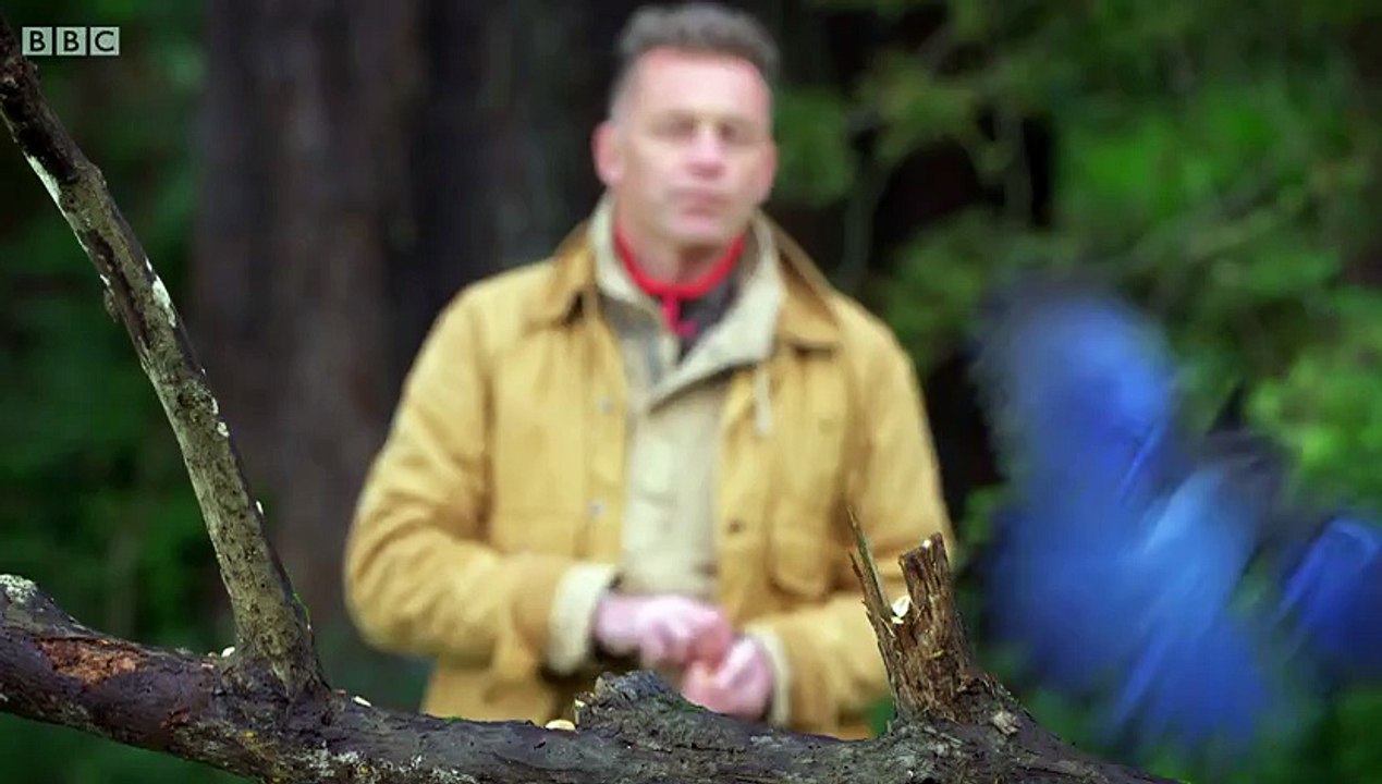 Worlds Sneakiest Animals S01E02