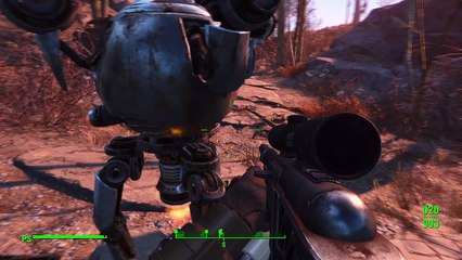 Fallout Bugs!