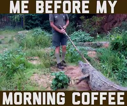 funny vedio by dil bhai 313