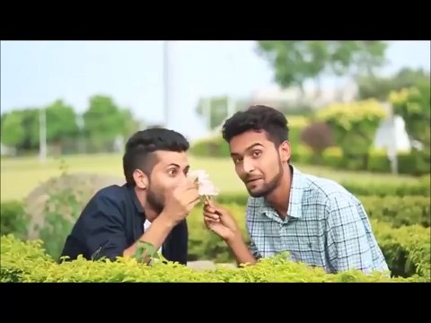 kaminay friends funny video compilation ft zaid alit sham idrees shahveer jafry beekar vines