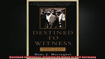 DOWNLOAD PDF  Destined to Witness Growing Up Black In Nazi Germany FULL FREE