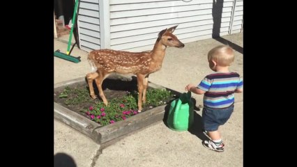What This Family Saw In Their Backyard Is Truly Magical -- What A Happy Scene!