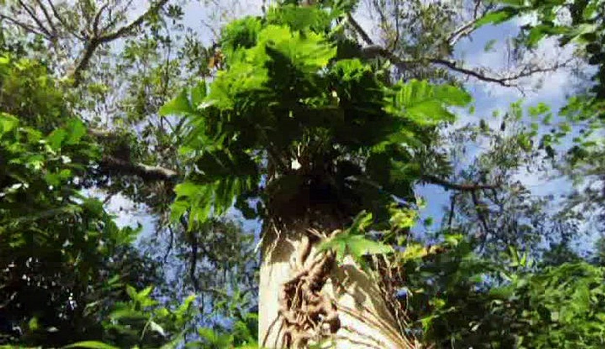 Coast Australia  S02E05 - Torres Strait