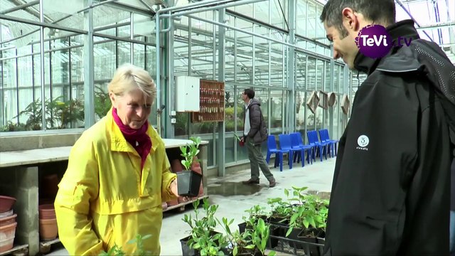 Cherbourg en Cotentin : des plantes aux habitants [TéVi] 16_04_07