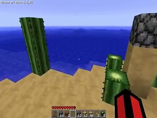 Minecraft Surviver Mode EP 3