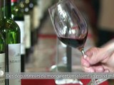 Bordeaux: un millésime 2015 