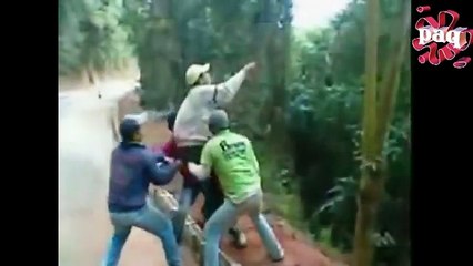 أغبى أغبياء العالم