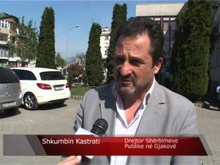 Lajme - Mbillen fidane të reja