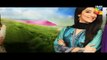 Haya Kay Daman Main Episode 8 Promo HUM TV Drama 7 April 2016